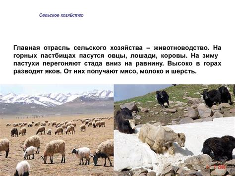 Республика Кыргызстан - презентация онлайн