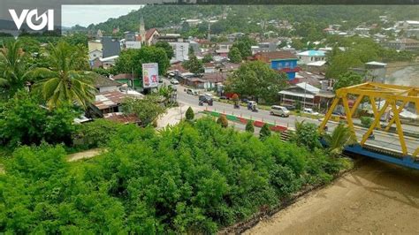 Brin Temukan Limbah Minyak Pada Mangrove Mati Di Teluk Ambon