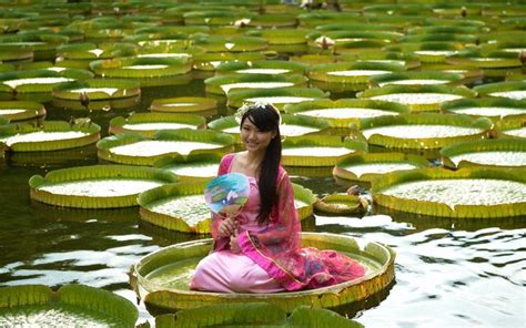 You Can Actually Sit On Giant Lily Pads In This Taipei Park Lily Pads Cute Couple Art Lily Pond