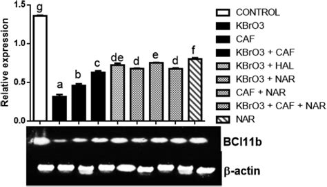 Effect Of Naringin On B Cell Lymphoma Leukemia B Normalized Against