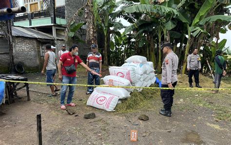 Naas Hendak Mencuri Gabah Malah Kepergok Zona Satu