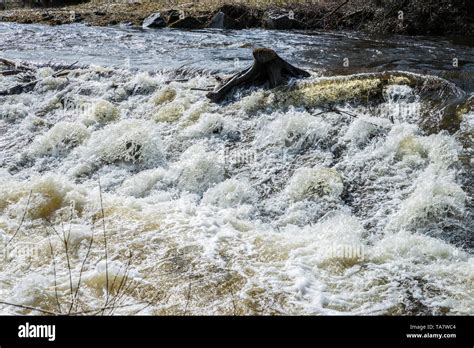 Einen Reissenden Fluss Bei Hochwasser Im Frühjahr Deutschland