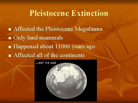 Pleistocene Extinction n n Affected the Pleistocene Megafauna