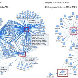 Example Of A Breast Cancer Patient Specific Network A Subnetwork Of A