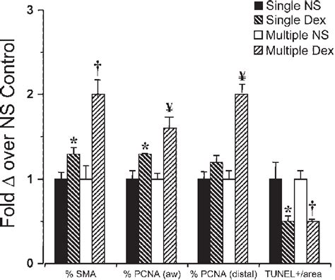 Morphometric Analyses Of Functional Cell Markers Histogram Summarizes