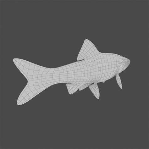 Cyprinella 3D-modell $29 - .max .fbx .obj - Free3D