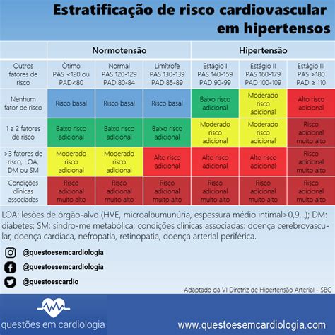 Estratifica O De Risco No Doente Hipertenso