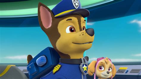 Watch Paw Patrol Season 5 Episode 19 Paw Patrol Pups Rescue