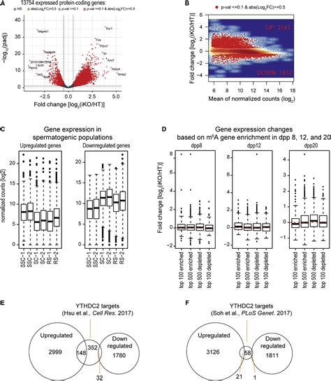 Ythdc Is Essential For Pachytene Progression And Prevents Aberrant