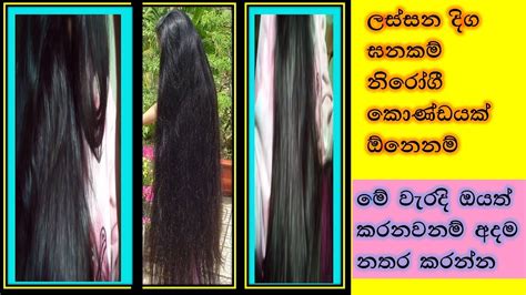 දිගම දිග කොණ්ඩයක් ඉක්මනින් වවාගමුhow To Get Long Hairtips To Protect Hairsinhalaashi Beauty