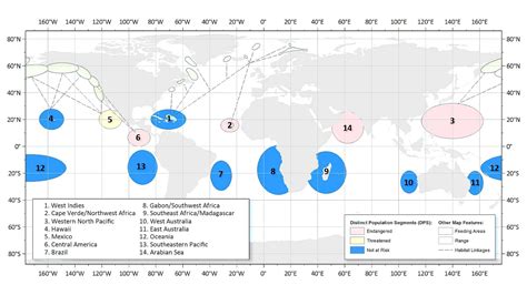 Endangered Whales List - Danger Choices