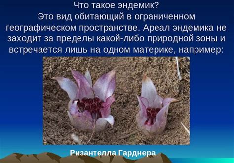 Эндемик. Что это такое простыми словами в биологии, географии
