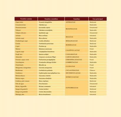 3 Clasificación taxonó