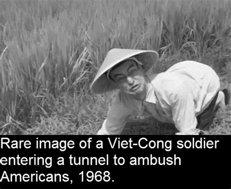 Vietcong Memes - eefasr