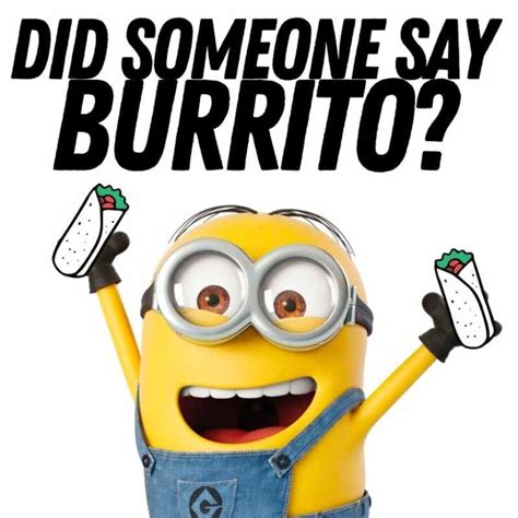 15+ Funny Burrito Memes And Images