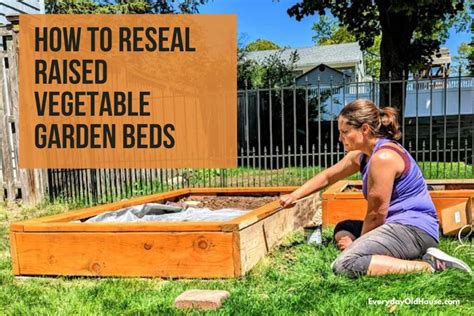 How To Reseal Wood On Raised Vegetable Garden Beds Everyday Old House