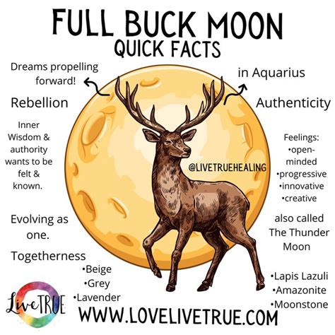 Full Buck Moon in Aquarius Meaning | Moon in aquarius, Moon journal ...