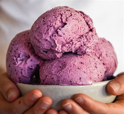 Easy Blueberry Cheesecake Ice Cream Recipe Bryont Blog