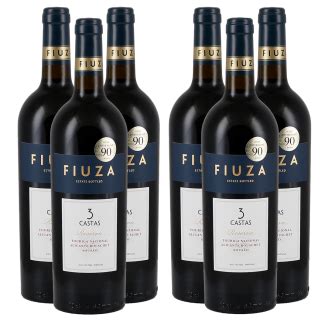 3 3 Flaschen Fiuza 3 Castas Reserva 2021