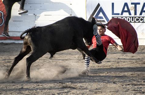 Toros A La Tica O La Tauromaquia Al Rev S De Costa Rica