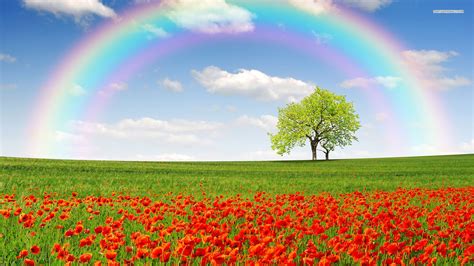 Arc En Ciel Wallpaper Arc En Ciel Fond D Cran Hd Arri Re Plan