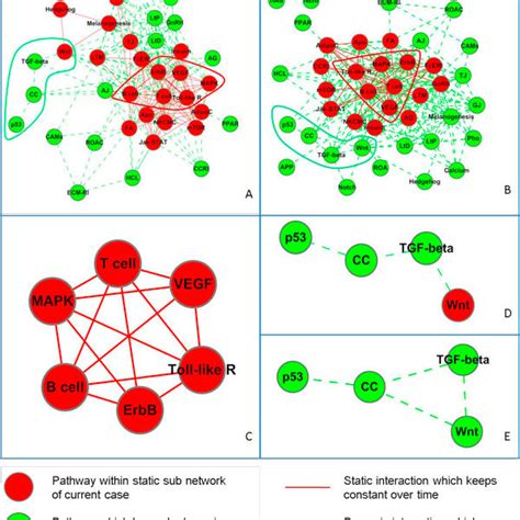 Phenotype Angiogenesis Specific Pathway Network And Characteristic