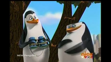 Skipper being..Skipper - Penguins of Madagascar Photo (32008788) - Fanpop