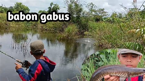 Casting Ikan Gabus Spot Banjiran Febrimancing Youtube