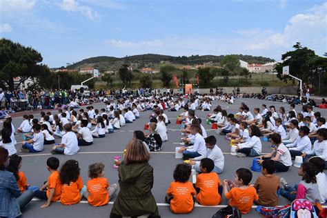 Os Dias Abertos Voltaram Ao Agrupamento De Escolas De S Martinho Do Porto