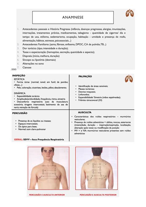 Resumo De Exame F Sico Respirat Rio Cardiaco E Abdominal Semiologia