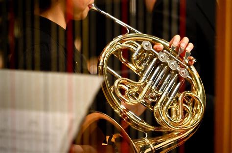 French Horn Musician