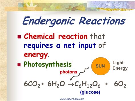 Bioenergetics Presentation Biology