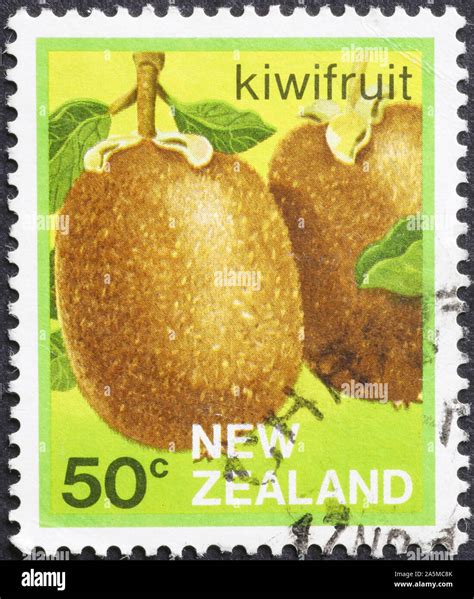 Kiwifruit New Zealand Hi Res Stock Photography And Images Alamy