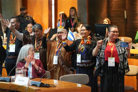 Persisten Agresiones Contra Defensores Ambientales En Latinoam Rica