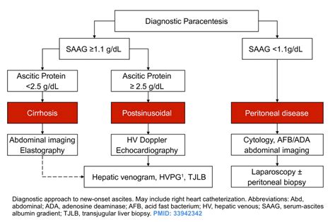 Ascites And Spontaneous Bacterial Peritonitis Recapem