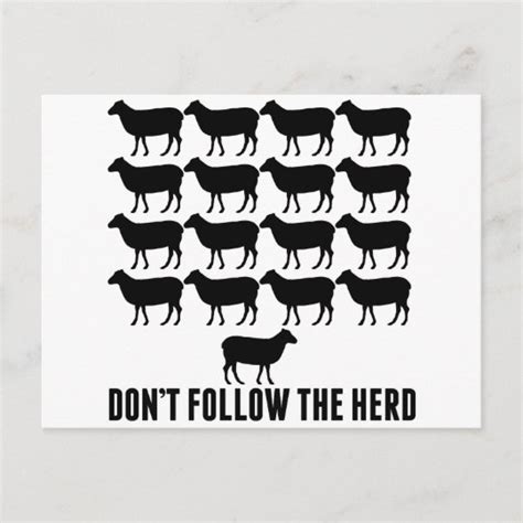 Dont Follow The Herd Of Sheep Be Yourself Postcard