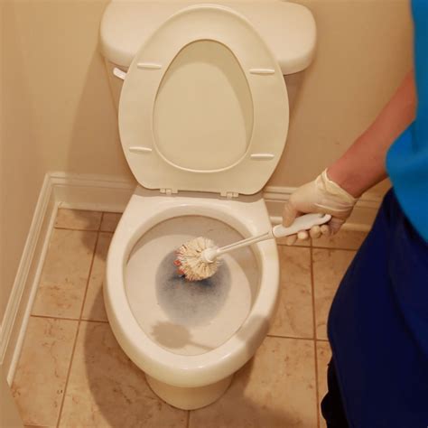 How to Clean A Toilet - Savvy Cleaner