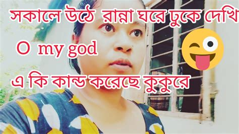 29 September 2023 সকালে ঘুম থেকে উঠে রান্না ঘরে ঢুকে দেখে এ কি কান্ড O