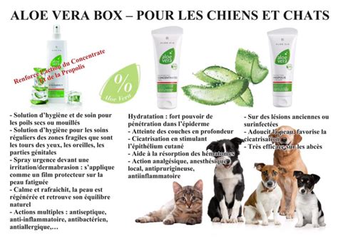 Aloe Vera Special Care Box Lr