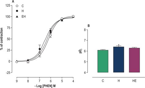 Concentration Response Curves For Phenylephrine Phen 10 9 10 4 M In