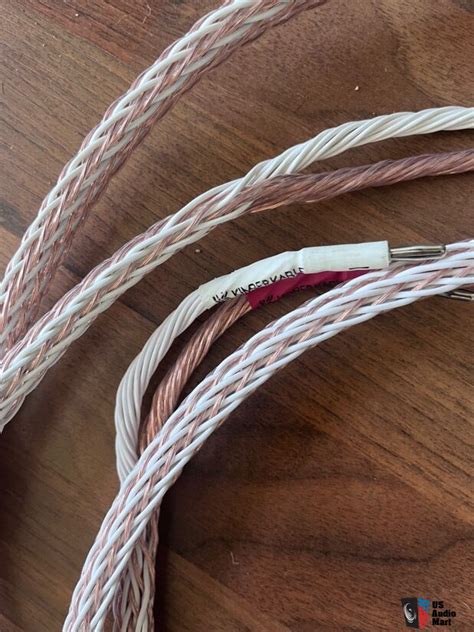 Kimber Kable Tc Speaker Cables Sban Includes Shipping And Paypal To