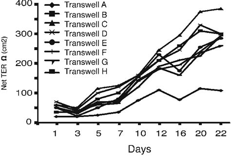 TER measurements from adult RPE. As RPE culture grows con fl uent and ... 