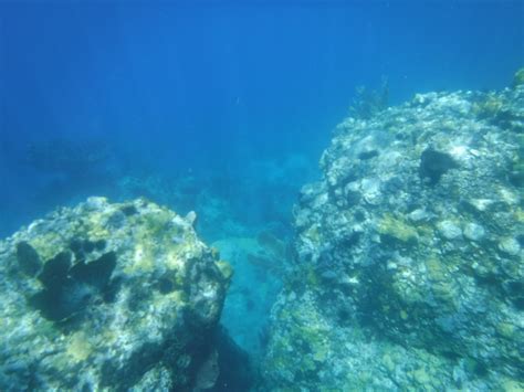 Snorkeling Wallilabou Bay & the Pirate's Arch | Snorkeling in Saint Vincent