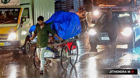 In Pictures After Dry Spell Of Over Days Rain Brings Relief To