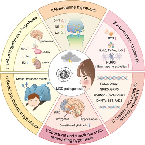 Major Depressive Disorder Hypothesis Mechanism Prevention And