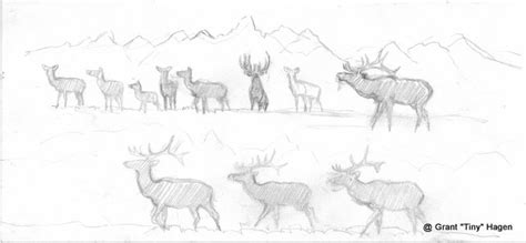 Elk Sketch At Explore Collection Of Elk Sketch