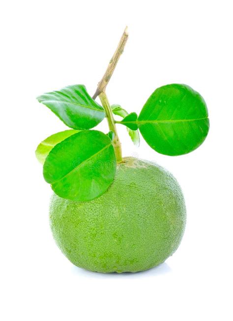 Fresh Green Pomelos And Leaf Pomelo On White Background Healthy Fruit