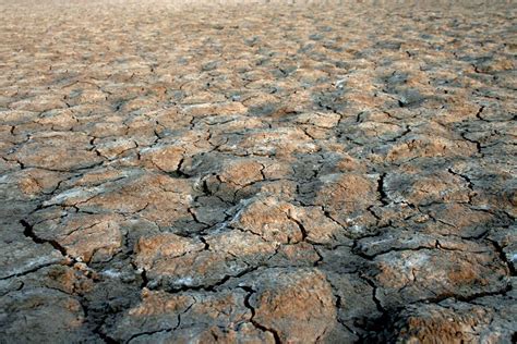 Salt land in Trombay, Mumbai Free Photo Download | FreeImages