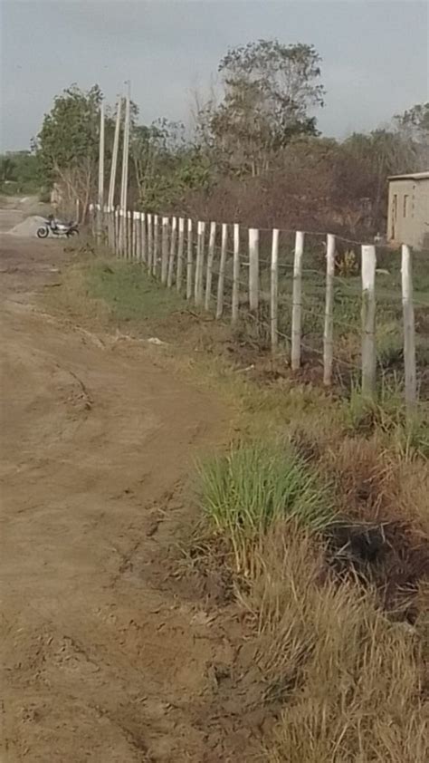 Quem O Dono Acusados De Invadir Terras No Bairro Ba A Formosa Em