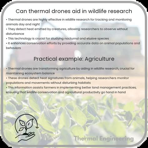 Can Thermal Drones Aid In Wildlife Research